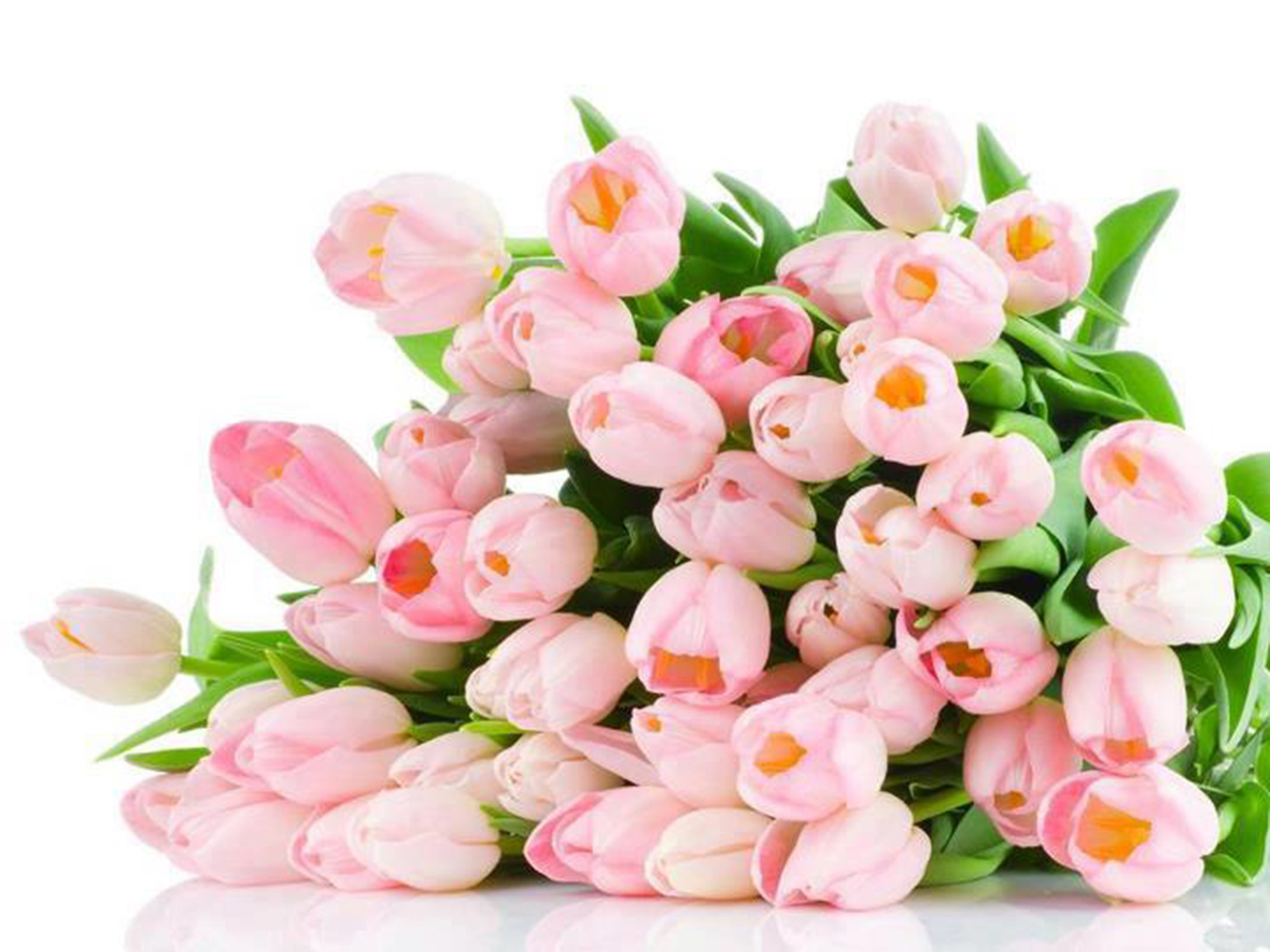 flowers-pink-tulips-bouquet-0208.jpg