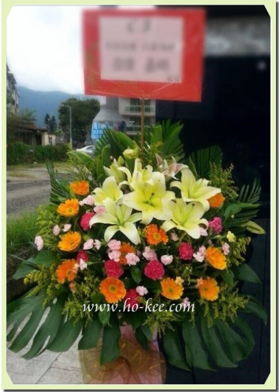 H001-開張花籃(百合,太陽花,康乃馨)