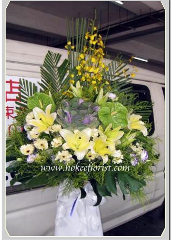 F302 綠掌,葉牡丹,跳舞蘭,百合