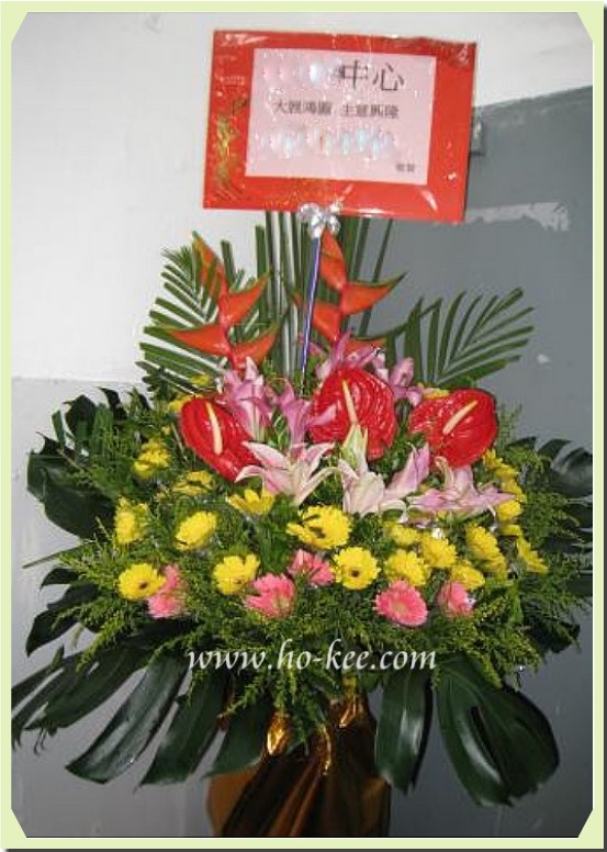 H202-紅掌系列(蟹鉗,火百合,太陽花)